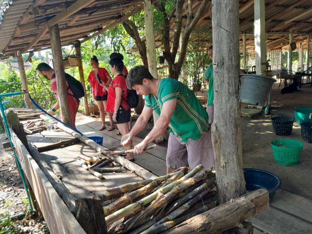 A group of people standing around a table with a pile of bamboo in the Elephant Freedom Project.