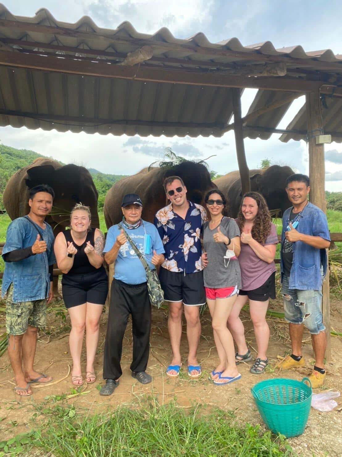 A group of people standing under a canopy with elephants at the Elephant Freedom Project.