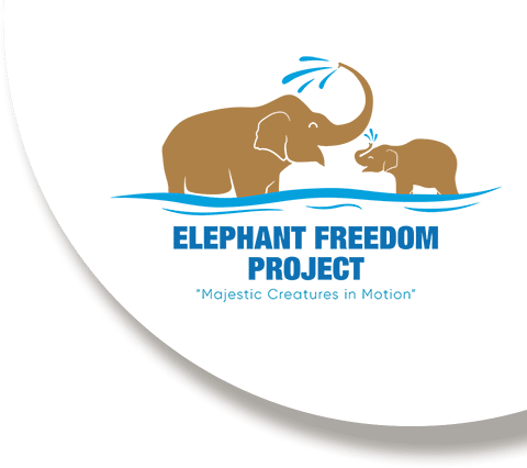 A logo of elephants in water.