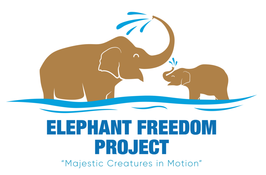 cropped Elephant Freedom Trans Logo e1669272064722