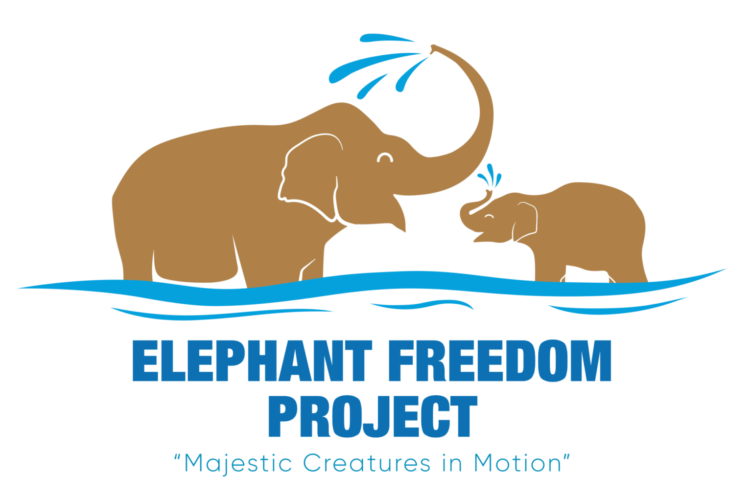 about-us-elephant-freedom-project-chiang-mai-thailand