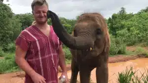 Elephant Love