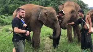 Elephant Sanctuary Chiang Mai Thailand