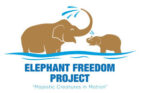 logo elephant new