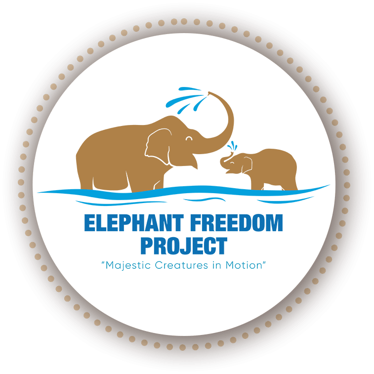 Elephant Freedom Project Logo