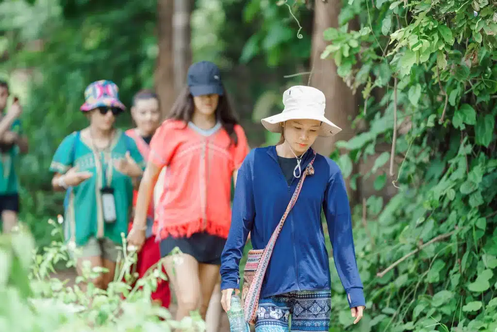 Elephant jungle Hike Chiang Mai