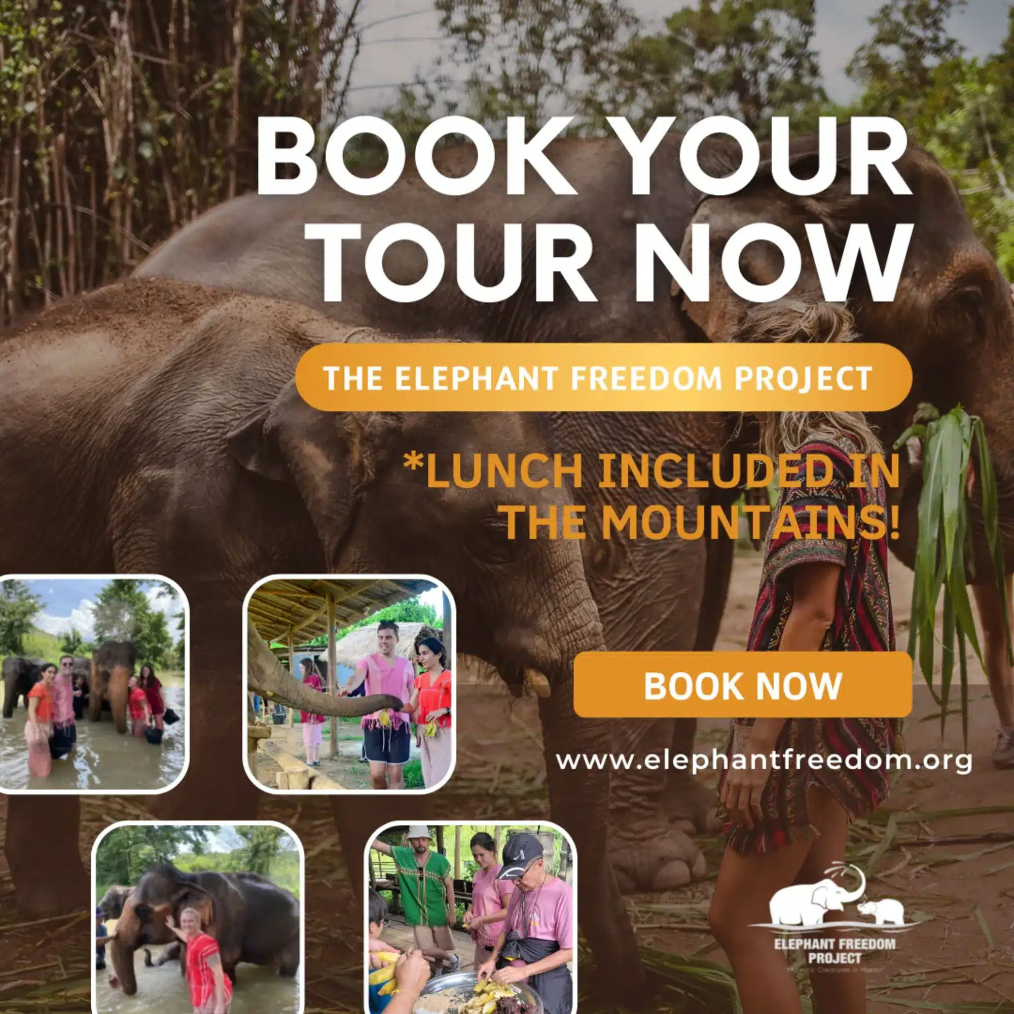 Thailand Elephant Sanctuaries