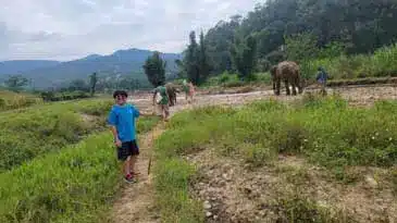 A group of people walking down a dirt path with elephants in the background at an Elephant Sanctuary in Chiang Mai.