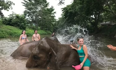 Chiang Mai Things To Do