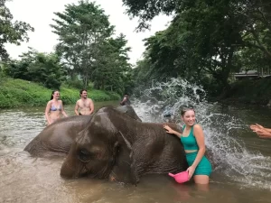 swimming with elephants in thailand