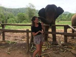 How Elephants Communicate