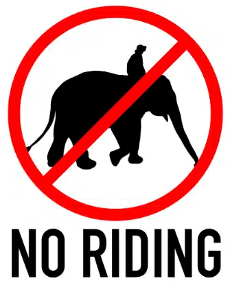 A no riding sign with a man on an elephant.