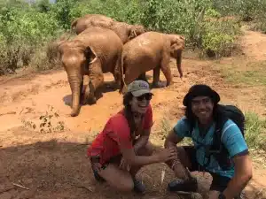 Elephant Nature Park In Chiang Mai
