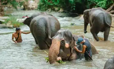 Responsible tourism in Chiang Mai