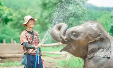 Elephant Freedom Project