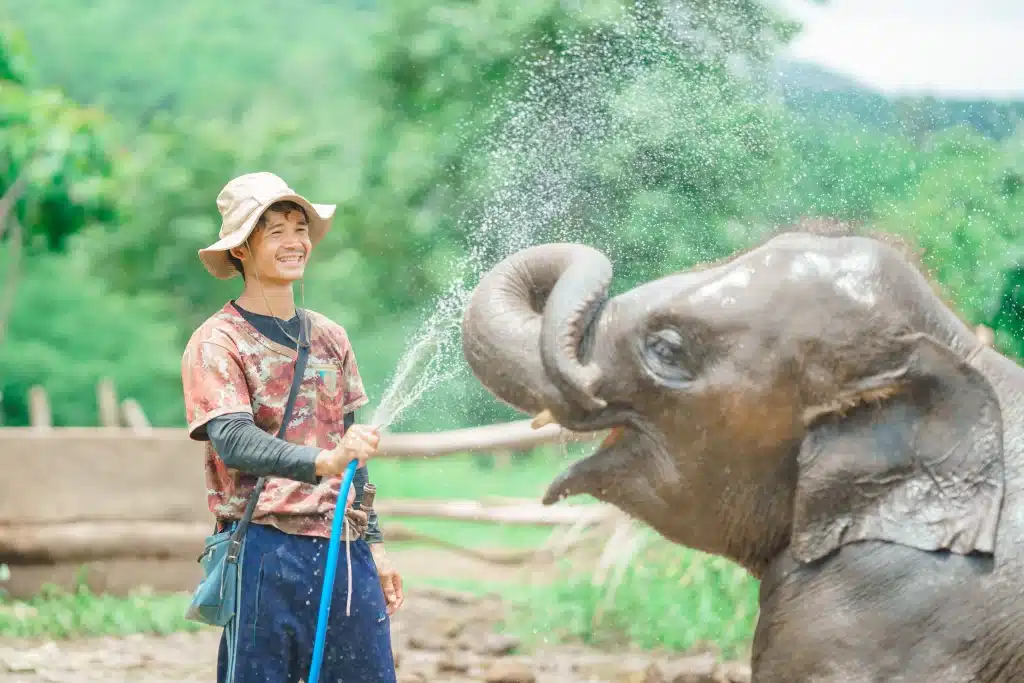 Elephant Nature Park