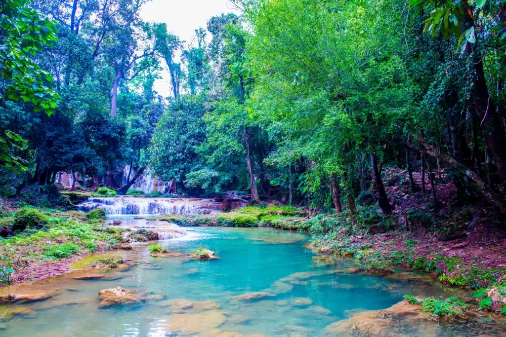 Best Parks In Chiang Mai 5 Lush landscapes and forested trails in Doi Suthep-Pui National Park, Chiang Mai, Thailand