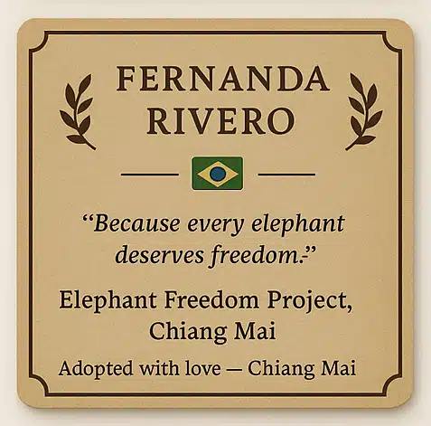 donor wall plaque fernanda