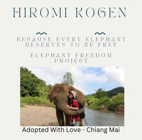 HIROMI KOGEN 2