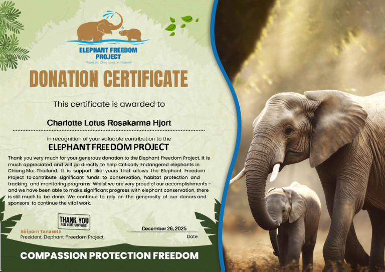 EFP Donation Certificate Charlotte Lotus Rosakarma Hjort