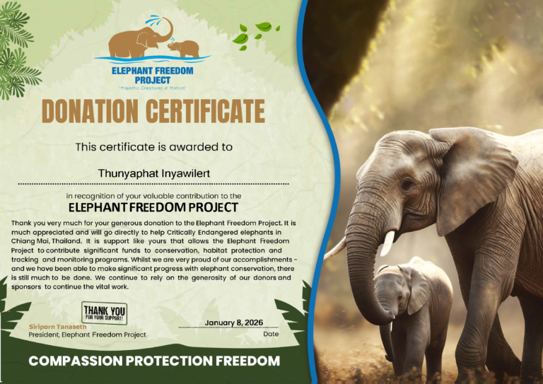 EFP Donation Certificate Thunyaphat Inyawilert