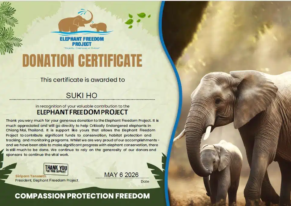 SUKI HO DONATION CERTIFICATE